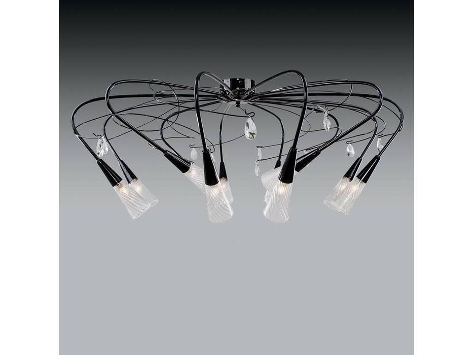 Lightstar: Aereo: люстра  12х40W G9 (черный)