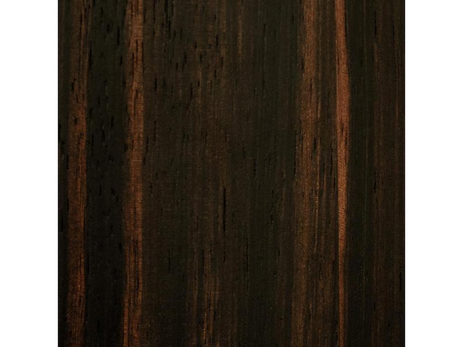 Mod Interiors: Benissa: шкаф 2 дверный  (эбеновое дерево)