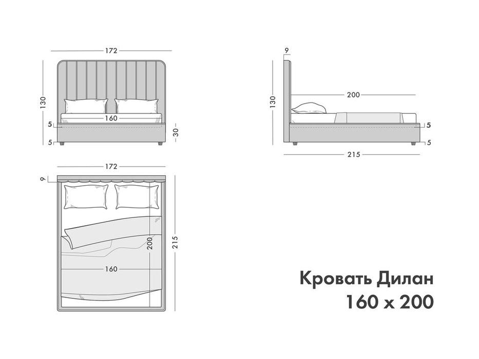 Artsit: Дилан: кровать двуспальная с подъемным механизмом (серый)